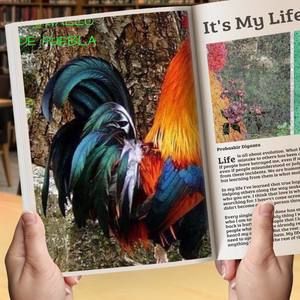 Meet your Posher, Venus